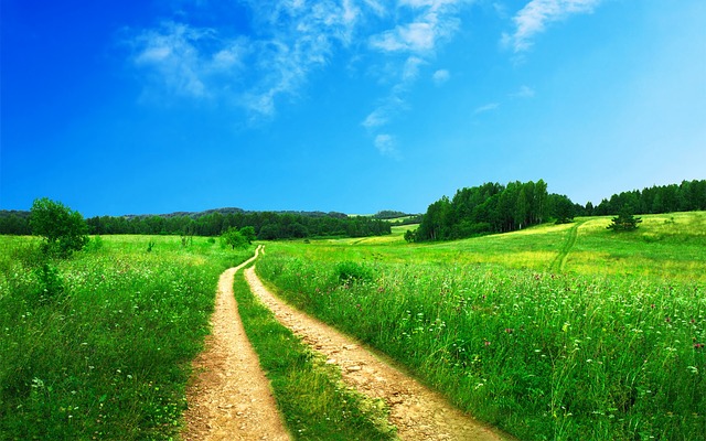footpath-691021_640
