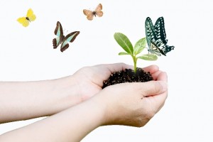 86ffd3833b8fbf2c62ddc27be944b29e_s