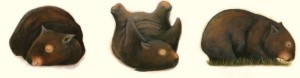 wombat-monday